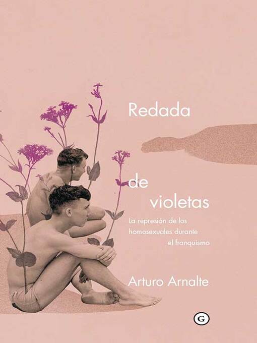 Cover image for Redada de violetas